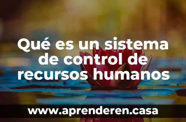 Qué es un sistema de control de recursos humanos