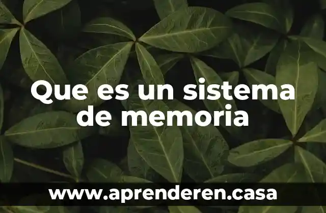 Que es un sistema de memoria