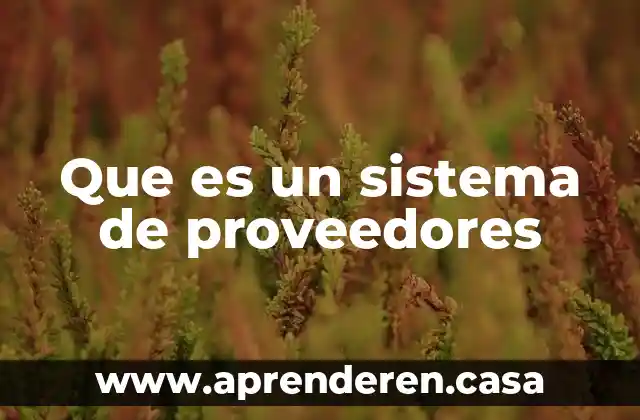 Qué es el sistema M1 en la XDMX 8 Que es un sistema de proveedores