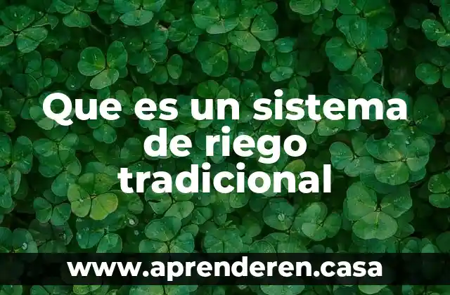 Que es la eficiencia de un sistema de riego 7 Que es un sistema de riego tradicional
