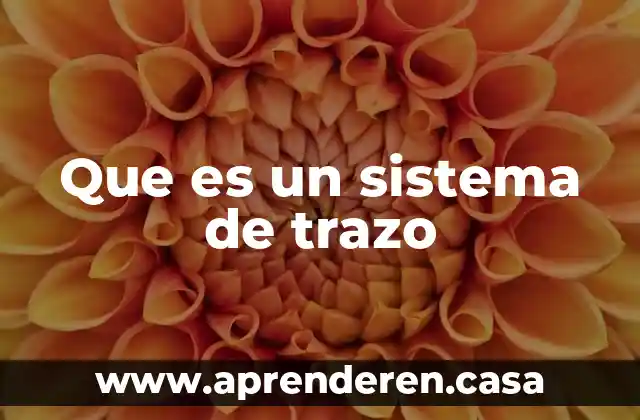 Que es un sistema de trazo
