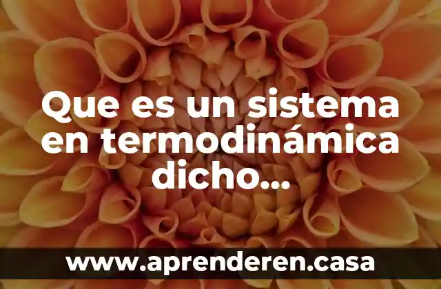 Que es un sistema en termodinámica dicho coloquialmente