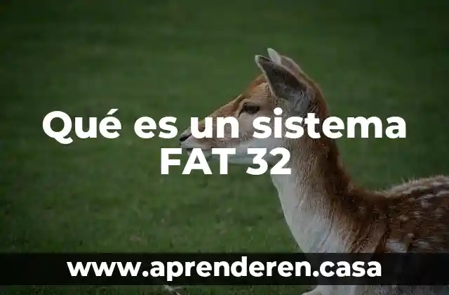 Qué es un sistema FAT 32