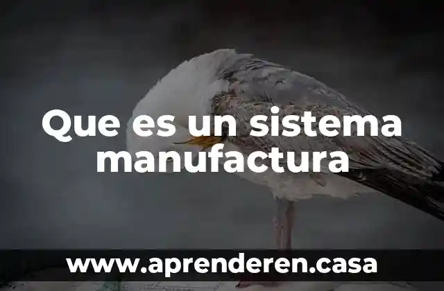 Que es un sistema manufactura