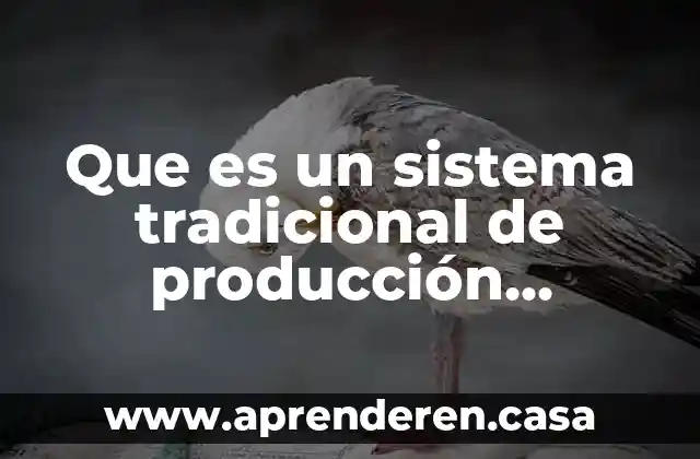 Sistema enterprise que es 7 Que es un sistema tradicional de producción agrícola desarrollo