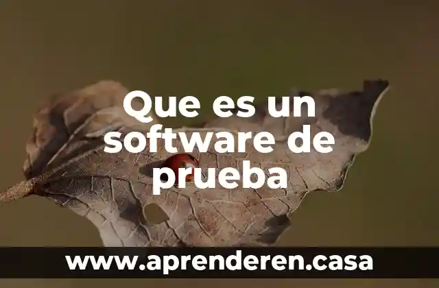 Que es un software de prueba