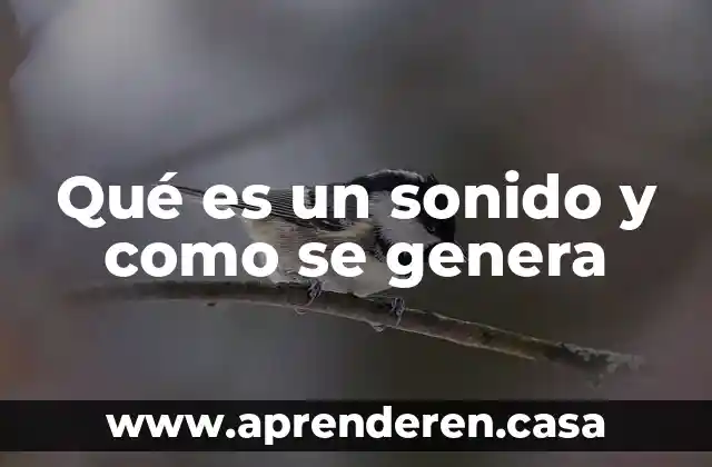 Qué es un sonido y como se genera