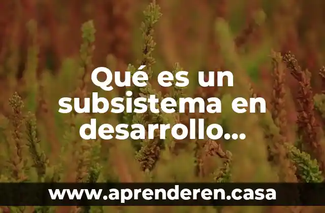 Qué es un subsistema en desarrollo organizacional