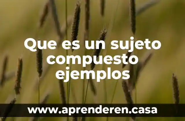 Que es un sujeto compuesto ejemplos