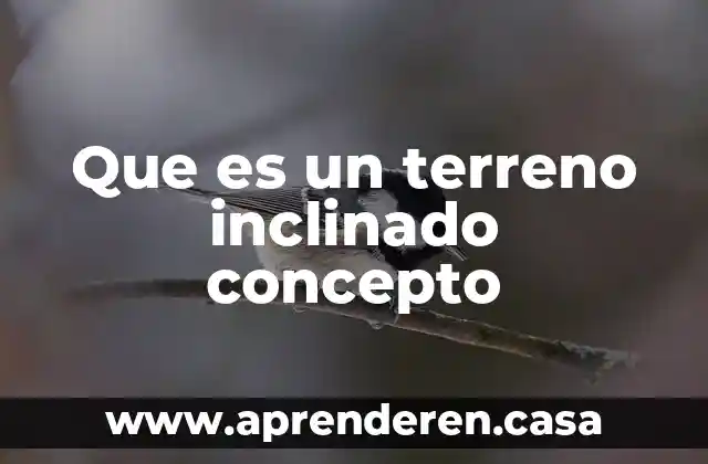 Que es un terreno inclinado concepto