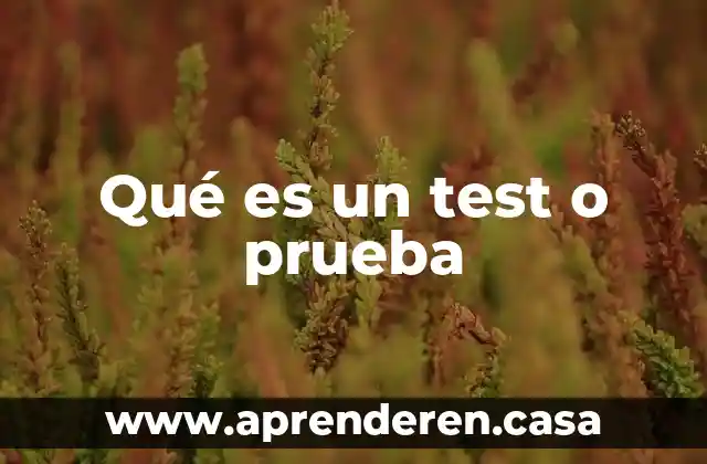 Qué es un test o prueba