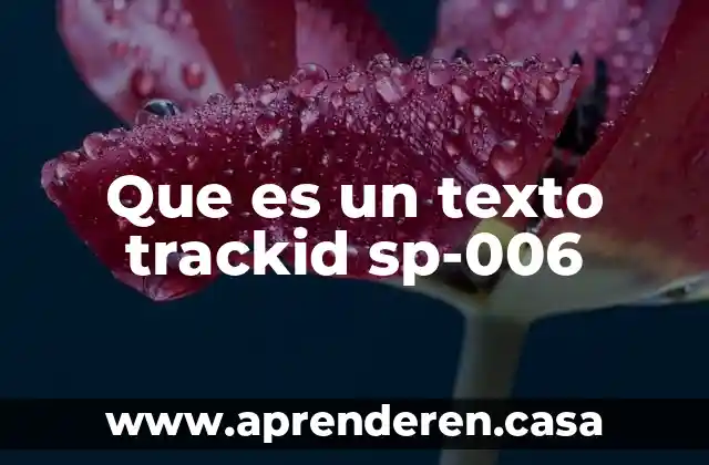 Que es un texto trackid sp-006