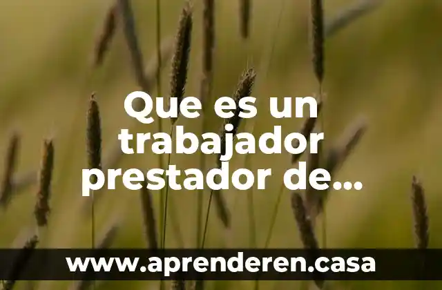Que es un trabajador prestador de servicios