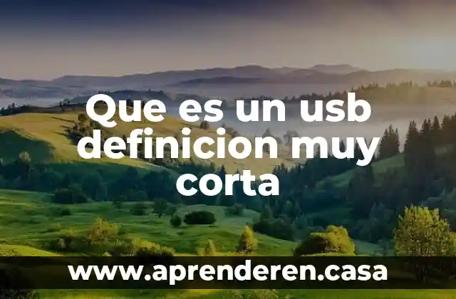 Que es un usb definicion muy corta