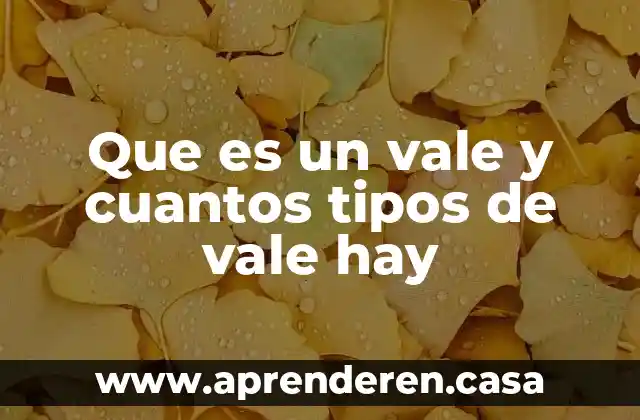 Que es un vale y cuantos tipos de vale hay