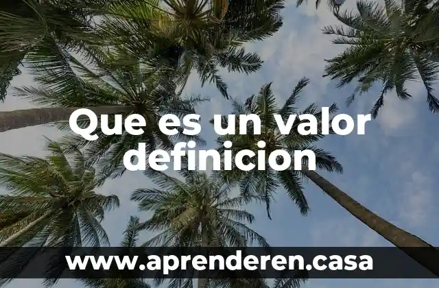 Que es un valor definicion