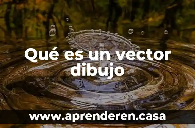 Que es el dibujo y clases de dibujo 6 Qué es un vector dibujo