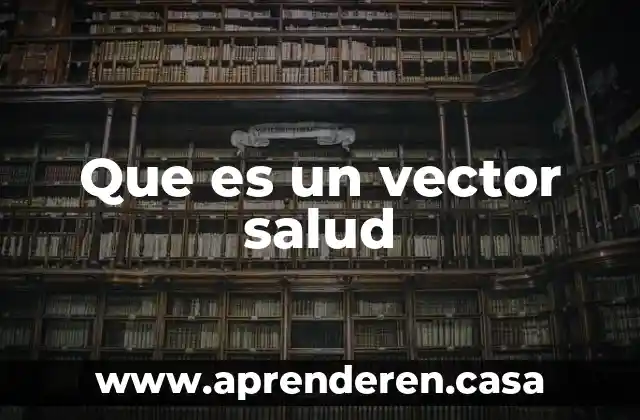 Que es la salud ejemplos 7 Que es un vector salud
