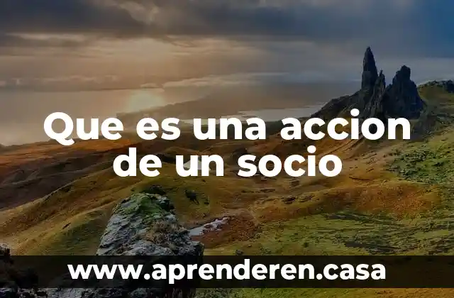 Que es un socio general 4 Que es una accion de un socio