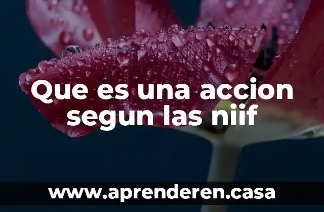 Que es la accion a valor de libors 8 Que es una accion segun las niif