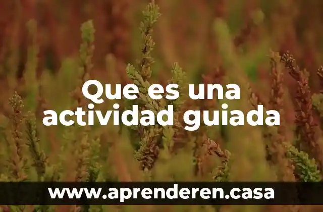 Que es una actividad hipersicronica 4 Que es una actividad guiada