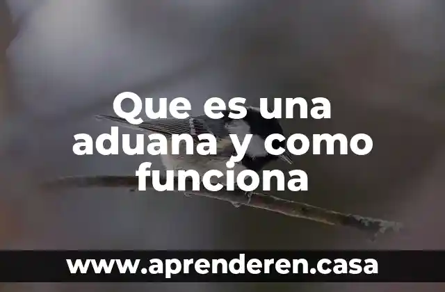 Que es una aduana y como funciona