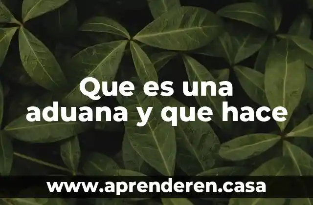 Que es una aduana y que hace