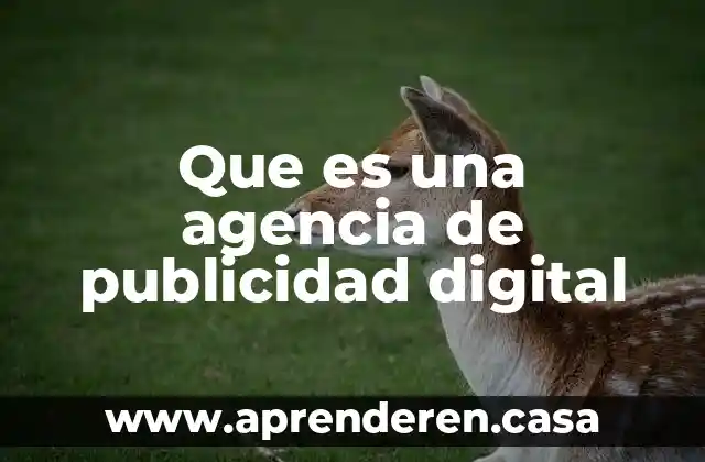 Que es una agencia de publicidad digital
