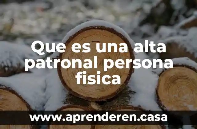 Que es una alta patronal persona fisica