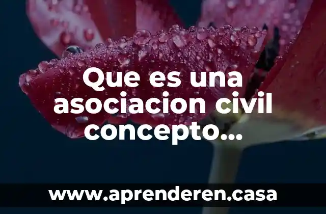 Que es una asociacion civil concepto caracteristicas ventajas y desventajas