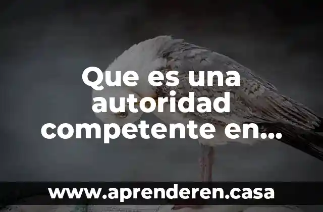 Que es una autoridad competente en una demanda