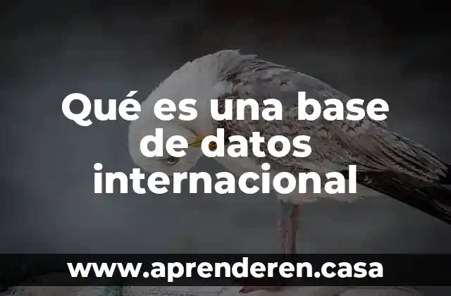 Qué es bitácora bases de datos 7 Qué es una base de datos internacional