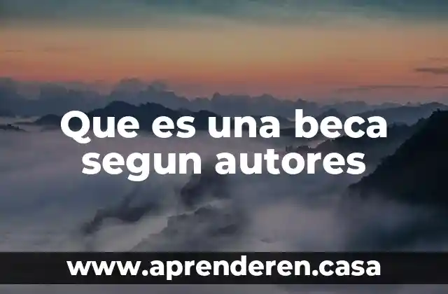 Que es una beca segun autores