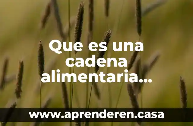 Que es una cadena alimentaria explicada para niños