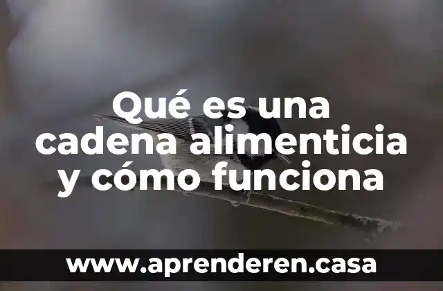 Qué es una cadena alimenticia y cómo funciona