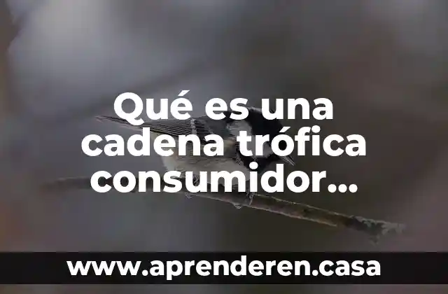Qué es una cadena trófica consumidor primario