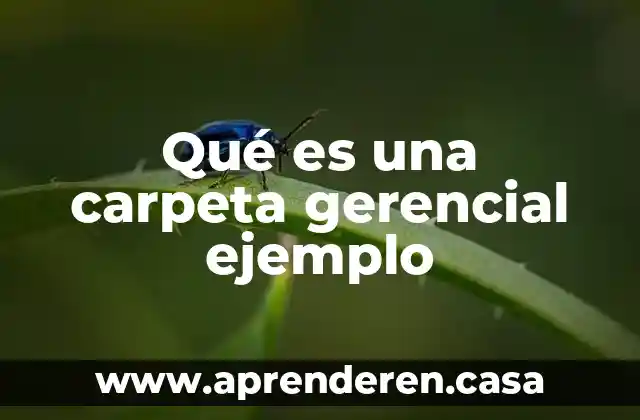Qué es una carpeta gerencial ejemplo