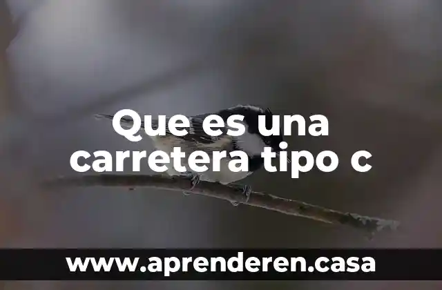 Que es una carretera tipo c