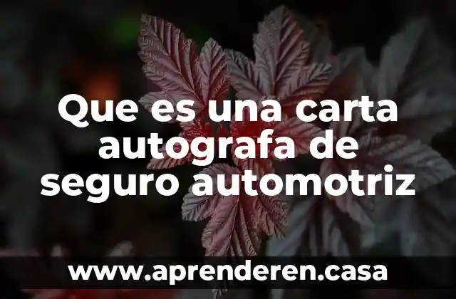 Seguro popular que es 8 Que es una carta autografa de seguro automotriz