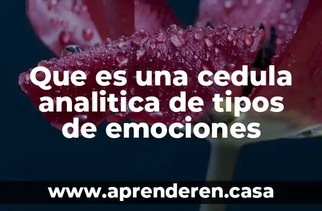 Que es el subempleo y tipos de subempleo 3 Que es una cedula analitica de tipos de emociones