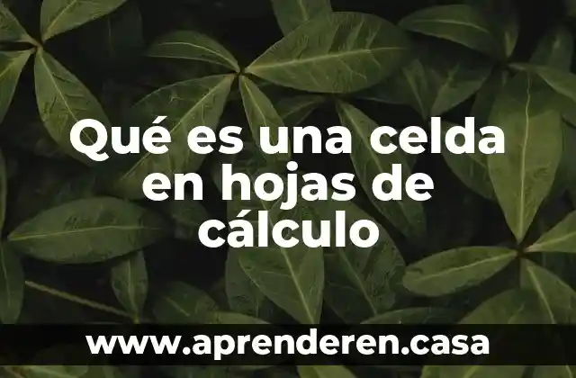 Qué es una celda en hojas de cálculo
