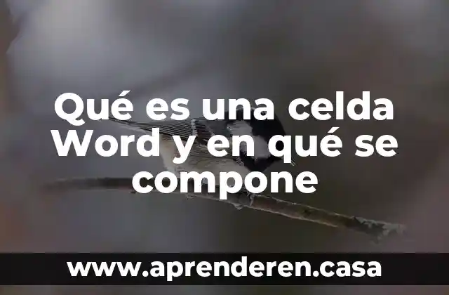 Qué es una celda Word y en qué se compone