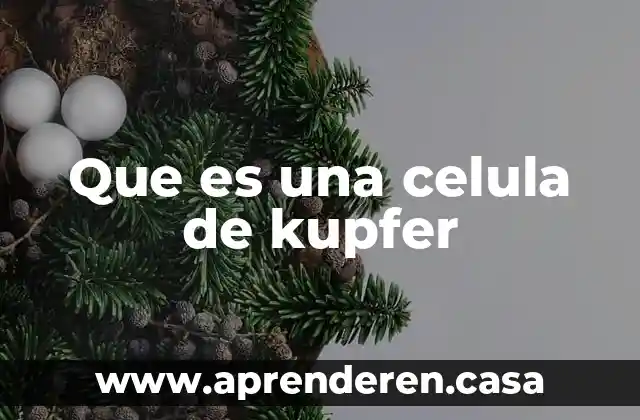 Que es una celula de kupfer