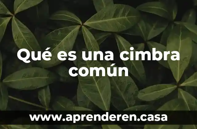 Qué es una cimbra común