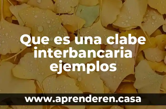 Que es una clabe interbancaria ejemplos