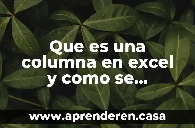 Que es una columna en excel y como se representa