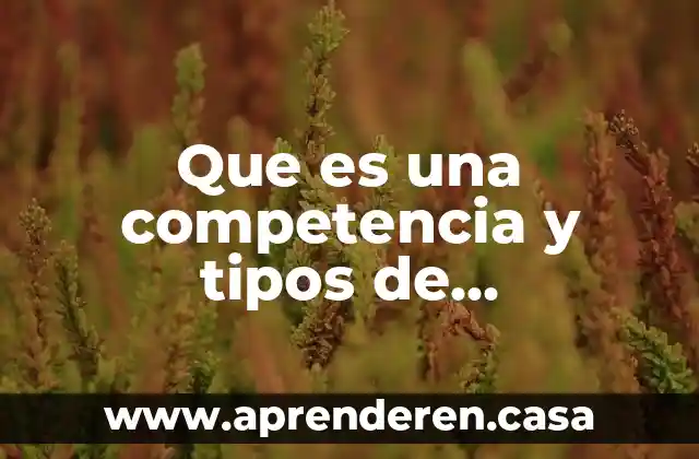 Que es una competencia y tipos de competencia