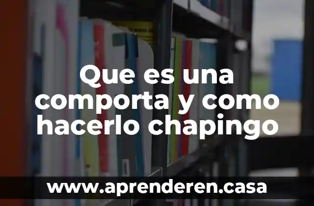8D tunes que es 3 Que es una comporta y como hacerlo chapingo