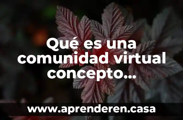 Qué es la propiedad agraria colonial significado 3 Qué es una comunidad virtual concepto definición significado