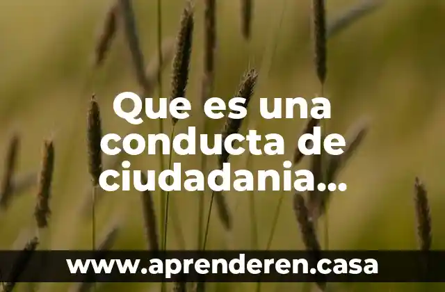 Que es ser una ciudadania conciente 8 Que es una conducta de ciudadania organizacional inadecuada